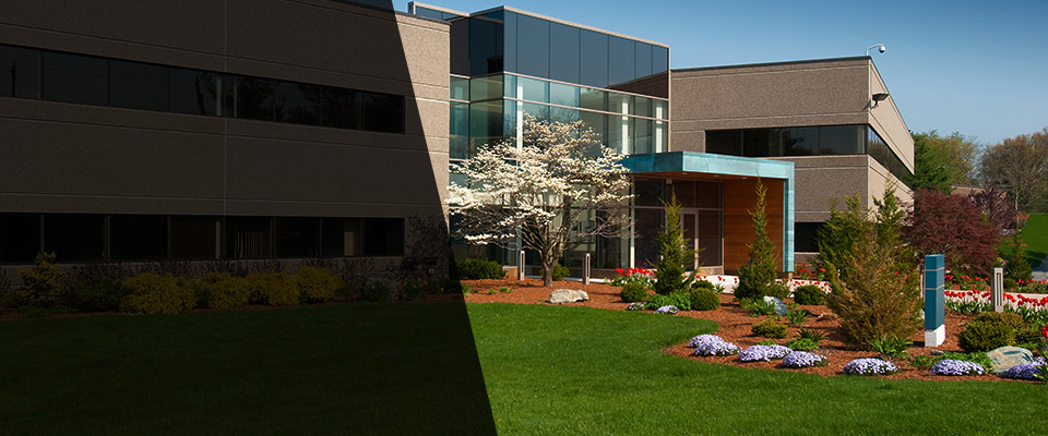 Wareham Landscapers