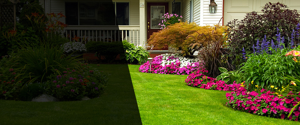 Wareham Landscapers