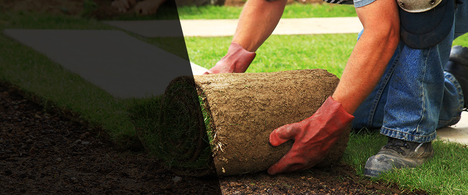 Wareham Landscapers